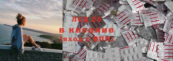 PSILOCYBIN Горнозаводск