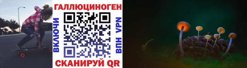 Купить закладки  Братск  Галлюциногенные грибы Psilocybine cubensis